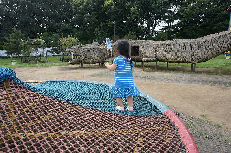 f:id:kopuccho:20170923224137j:plain