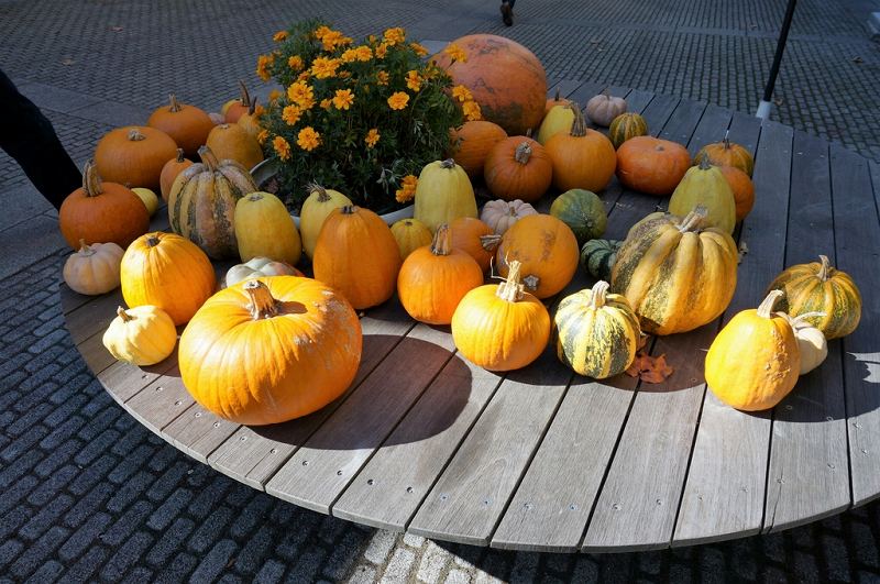 f:id:kopuccho:20171001063605j:plain