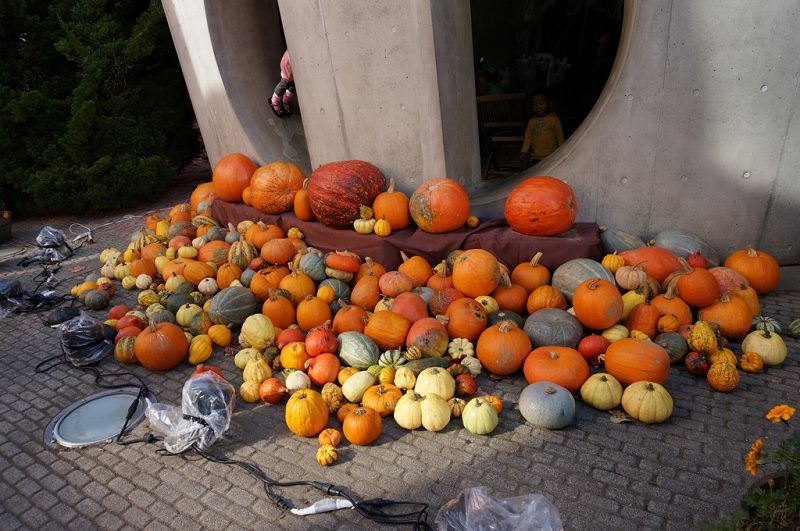 f:id:kopuccho:20171001063738j:plain