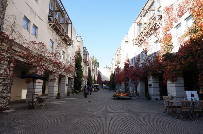 f:id:kopuccho:20171001064310j:plain