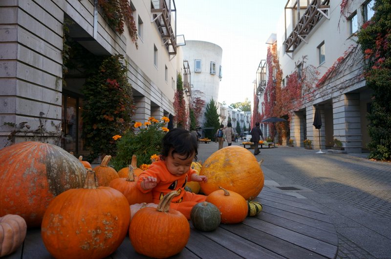 f:id:kopuccho:20171001064333j:plain