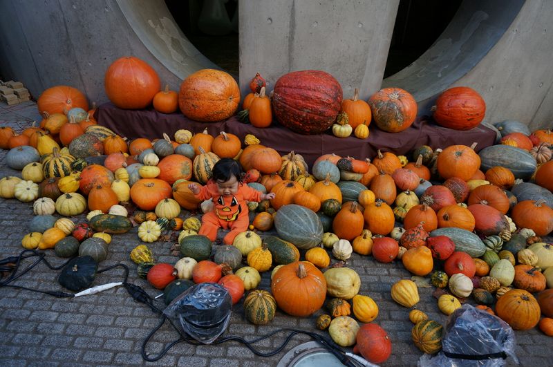 f:id:kopuccho:20171001064352j:plain