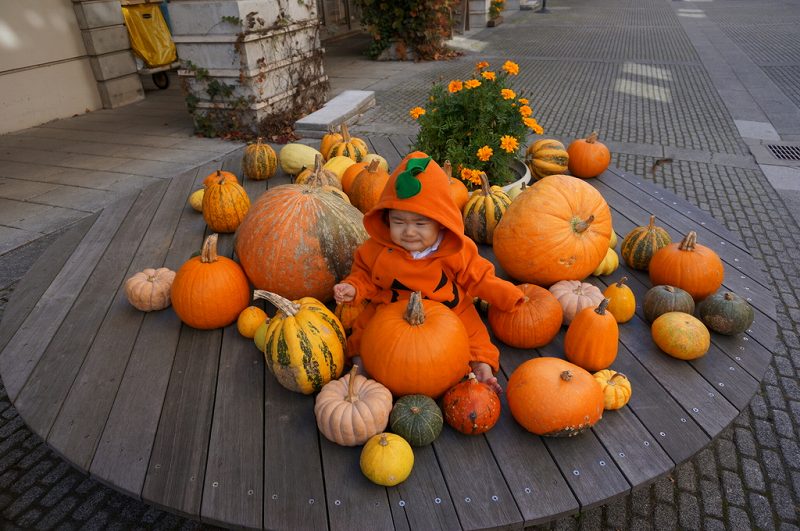 f:id:kopuccho:20171001064424j:plain