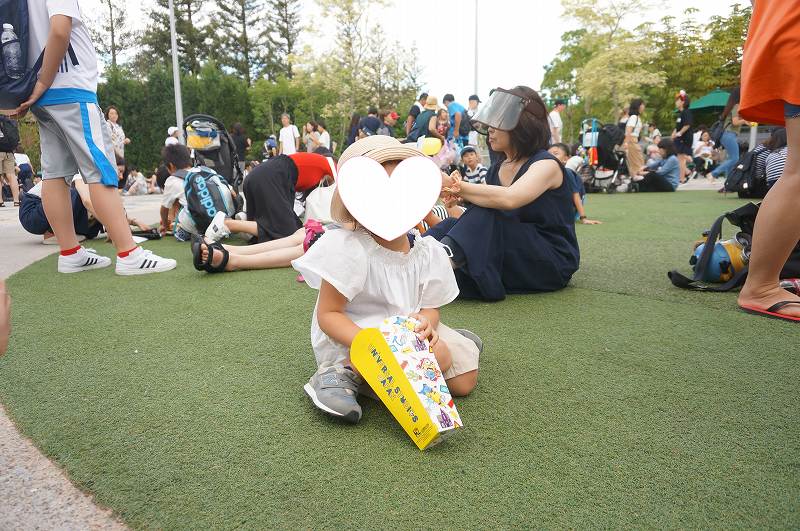 f:id:kopuccho:20171007090846j:plain