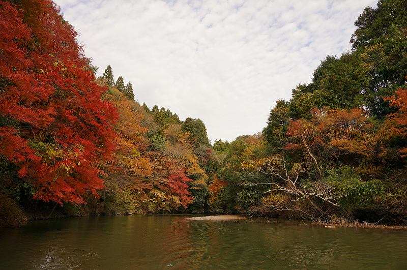 f:id:kopuccho:20171203113638j:plain