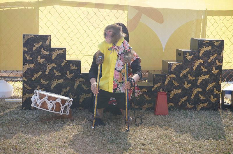 f:id:kopuccho:20171203114120j:plain