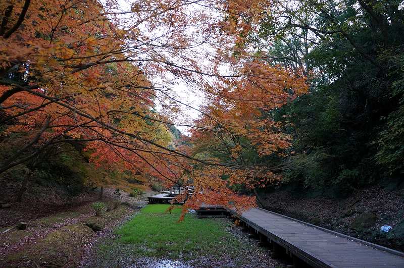 f:id:kopuccho:20171203114355j:plain