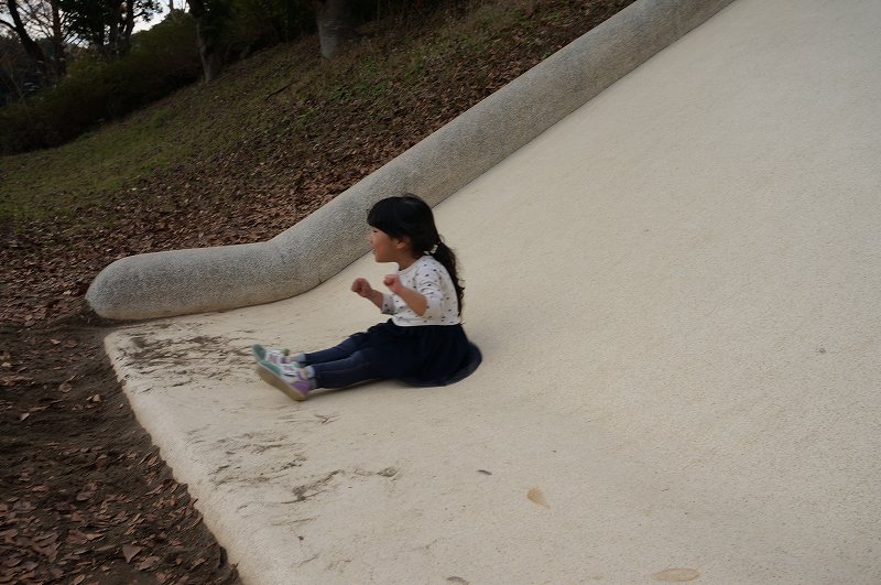 f:id:kopuccho:20171203121937j:plain