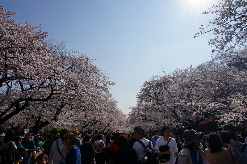 f:id:kopuccho:20180411111241j:plain