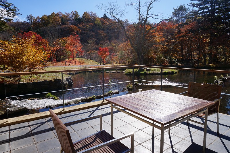 f:id:kopuccho:20181107155402j:plain