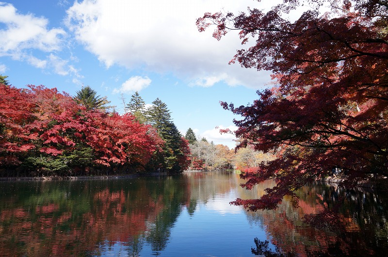 f:id:kopuccho:20190120100805j:plain