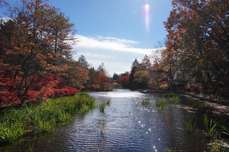 f:id:kopuccho:20190120100835j:plain