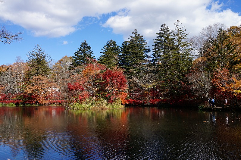 f:id:kopuccho:20190120100845j:plain