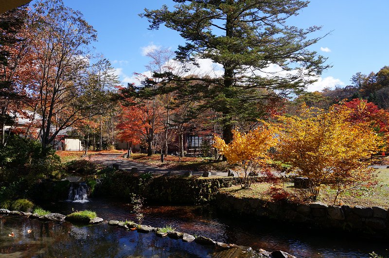 f:id:kopuccho:20190121055120j:plain