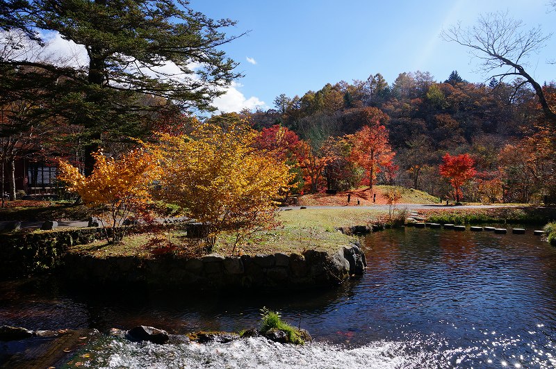 f:id:kopuccho:20190121055132j:plain