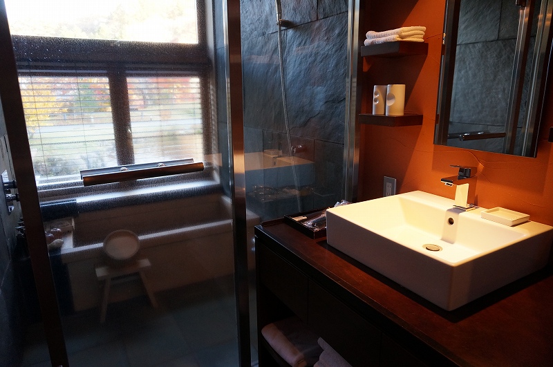 f:id:kopuccho:20190121055147j:plain