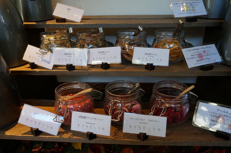 f:id:kopuccho:20190427063704j:plain