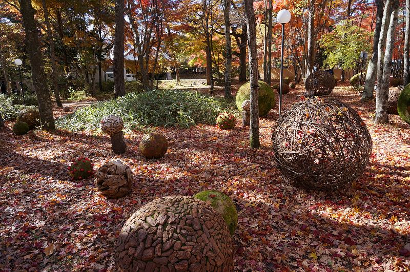 f:id:kopuccho:20190427064132j:plain