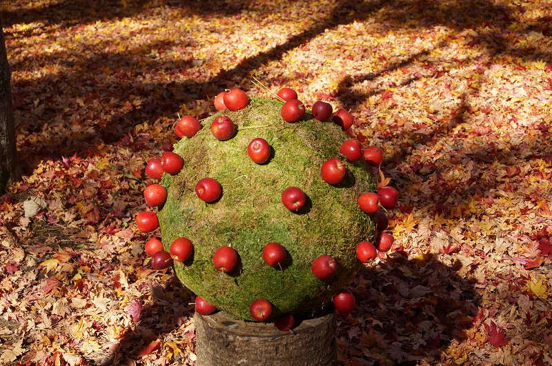 f:id:kopuccho:20190427064140j:plain