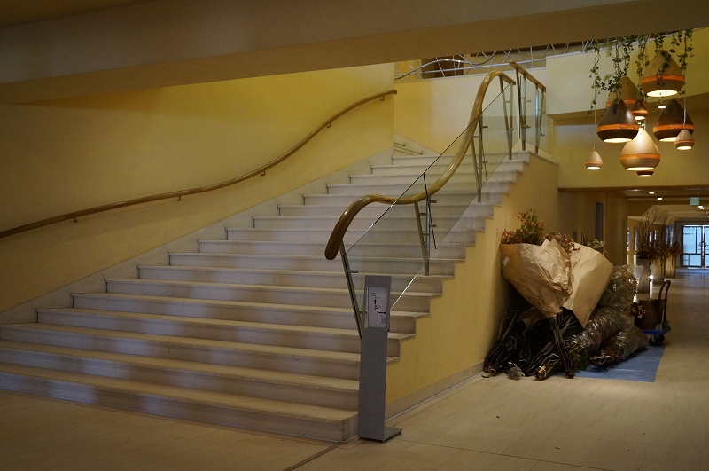 f:id:kopuccho:20190427070556j:plain