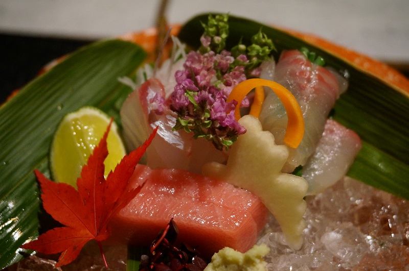 f:id:kopuccho:20190428075626j:plain