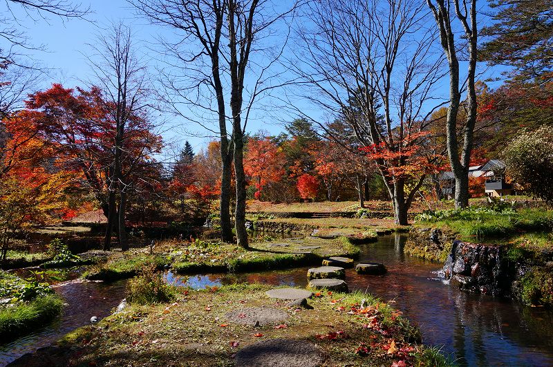 f:id:kopuccho:20190501074947j:plain