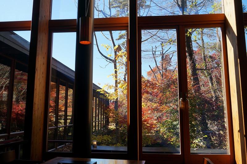 f:id:kopuccho:20190501075332j:plain