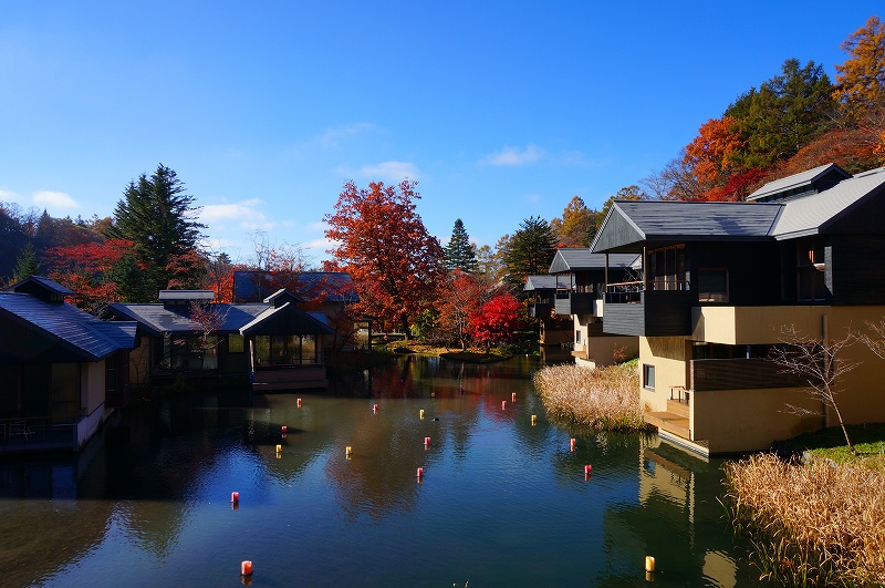 f:id:kopuccho:20190501080103j:plain