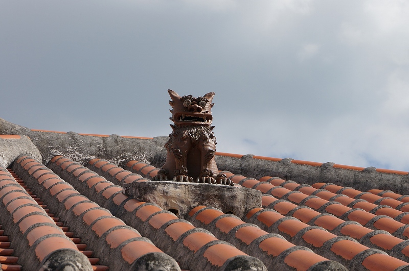 f:id:kopuccho:20200105083129j:plain