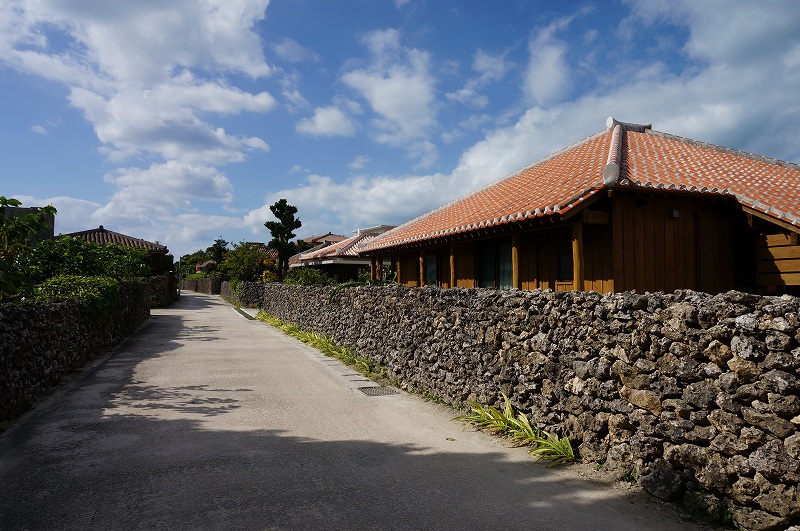 f:id:kopuccho:20200105083143j:plain