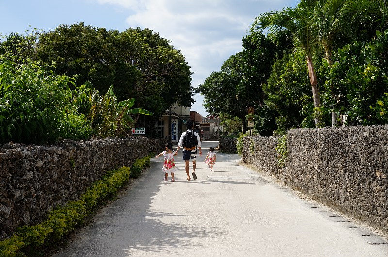 f:id:kopuccho:20200105083202j:plain