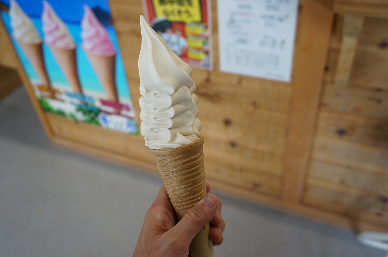 f:id:kopuccho:20200105083248j:plain