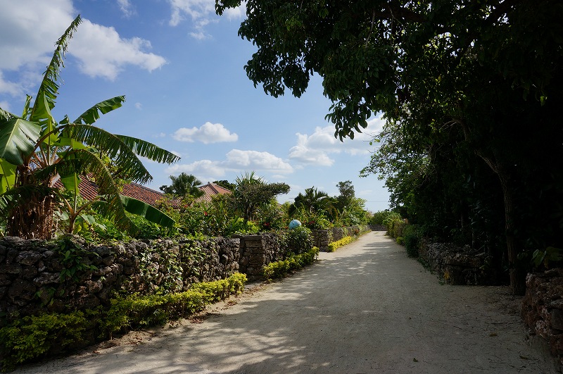 f:id:kopuccho:20200105083307j:plain