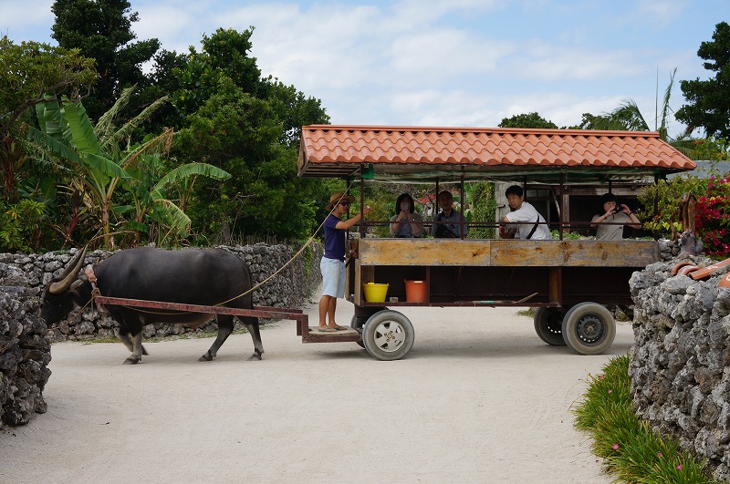 f:id:kopuccho:20200105083416j:plain