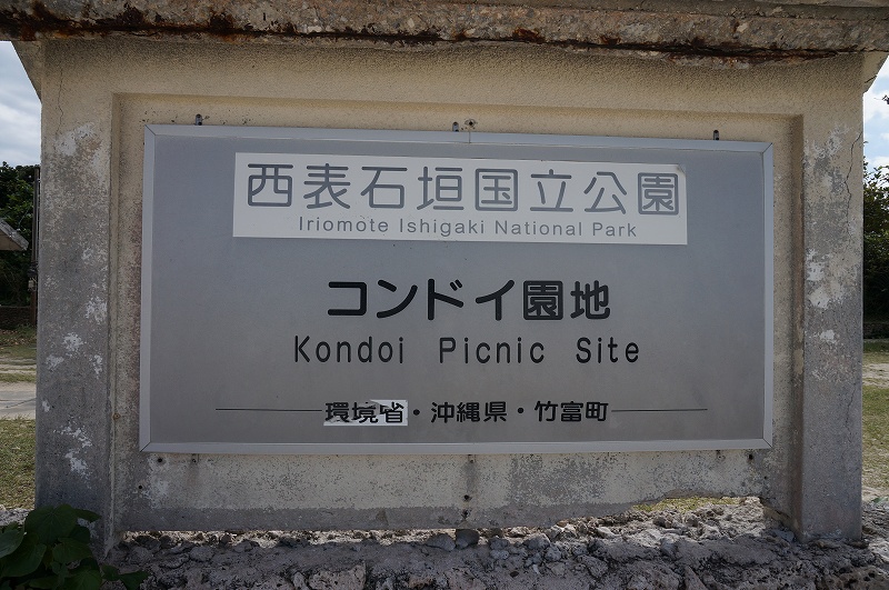 f:id:kopuccho:20200105083527j:plain