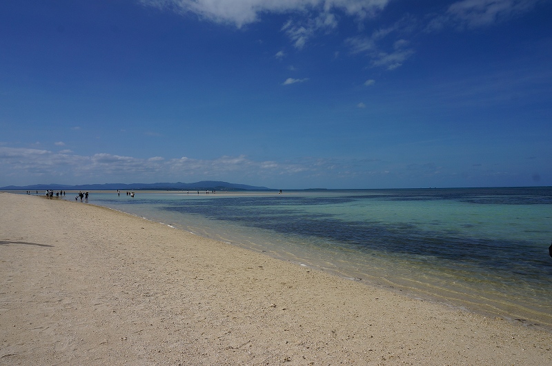 f:id:kopuccho:20200105083547j:plain