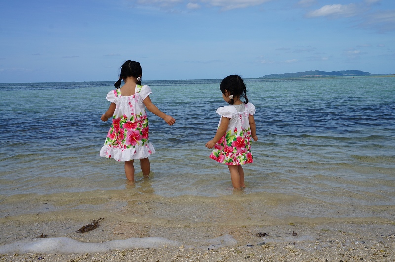 f:id:kopuccho:20200105083618j:plain