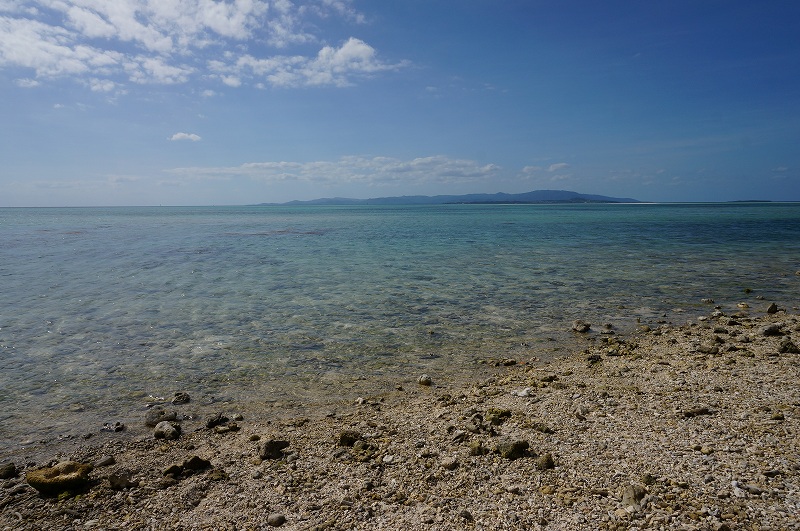 f:id:kopuccho:20200105083651j:plain