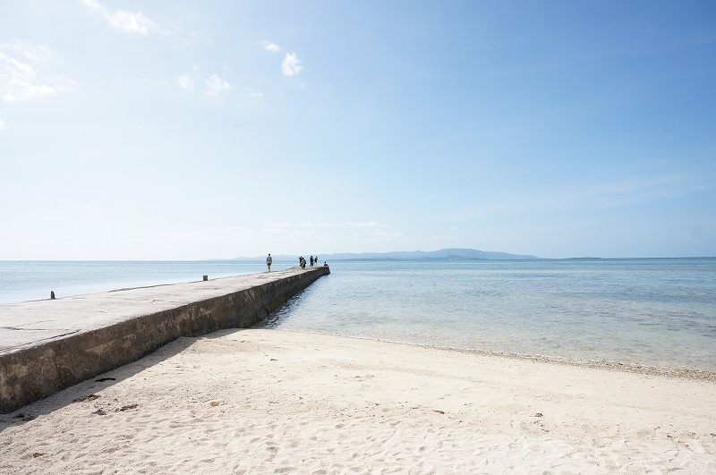 f:id:kopuccho:20200105083708j:plain