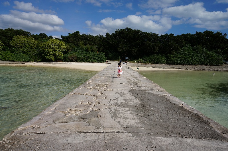 f:id:kopuccho:20200105083808j:plain