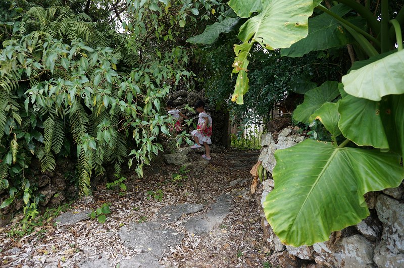 f:id:kopuccho:20200105163654j:plain