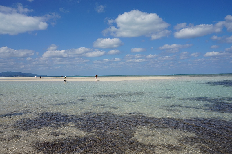 f:id:kopuccho:20200106101755j:plain