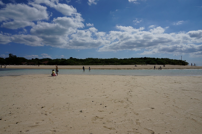 f:id:kopuccho:20200106101838j:plain