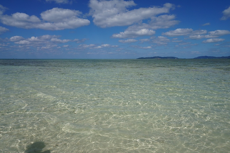 f:id:kopuccho:20200106101905j:plain