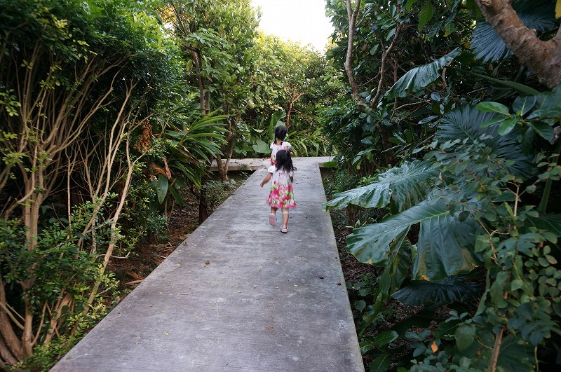 f:id:kopuccho:20200112170509j:plain