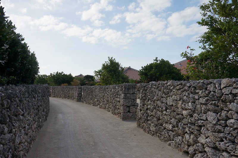 f:id:kopuccho:20200112170558j:plain