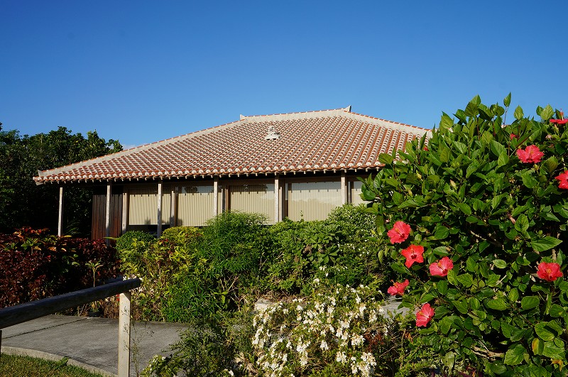 f:id:kopuccho:20200112170629j:plain