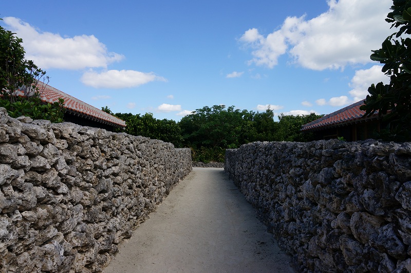 f:id:kopuccho:20200118103225j:plain