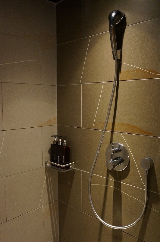 f:id:kopuccho:20200301165842j:plain