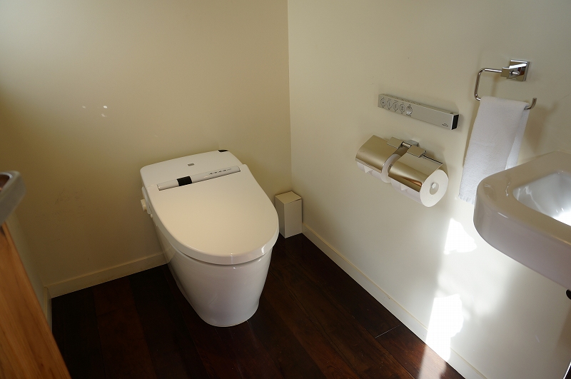 f:id:kopuccho:20200301165956j:plain